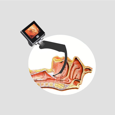 다섯 재사용할 수 있는 블레이드와 USB 32GB 엄격한 가지고 다닐 수 있는 비디오 후두경